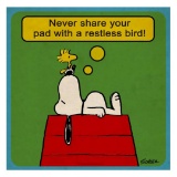 Restless Bird by Peanuts,