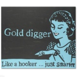 Gold Digger by Goldman, Todd