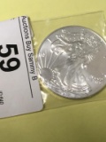 2017 Fine Silver 1 oz One Dollar Coin