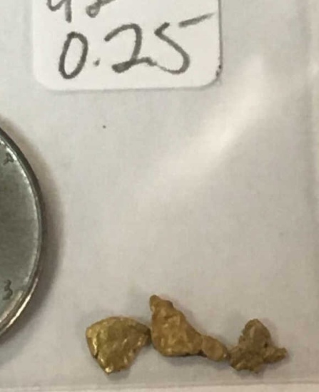 0.25 Grams, Gold Nuggets