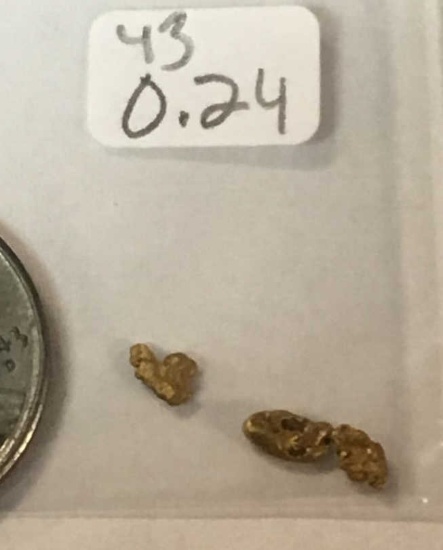0.24 Grams, Gold Nuggets