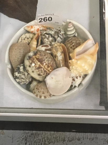 Sea Shells       Dish Not Included