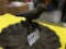 Wrought Iron Mini Bird Bath 5 1/2