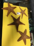 4 Starfish  Different Sizes