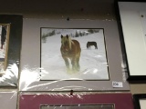 Matted Photo of Horse in Snow