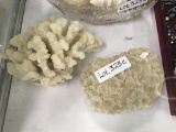 2 Nice Pieces Of Coral
