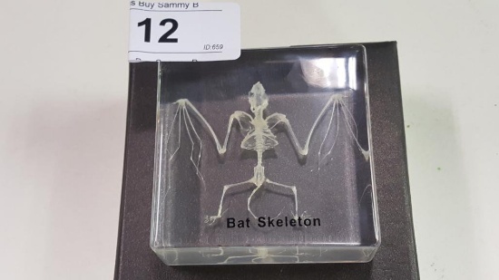 Square Paperweight w/ Bat Skelton in Gift Box