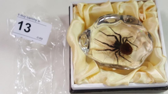 Acrylic Paperweight w/ Spider and Web in Gift Box