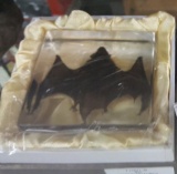 Full Bat Paperweight in Gift Box, educational