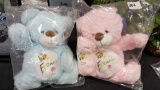 2 Soft Pink and Blue Flower on Tummy  Bears