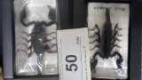 2 New Black Scorpion Small Paperweights
