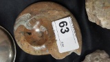 Polished Ammonite Fossil 4