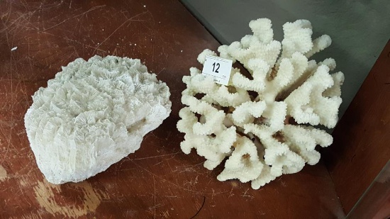 2 Pieces of Coral