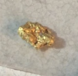 0.49 Grams Natural Nevada Placer Gold Nugget