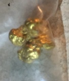 1.69 Grams Natural Nevada Placer Gold Nugget