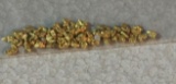 0.66 Grams Natural Nevada Placer Gold Nugget
