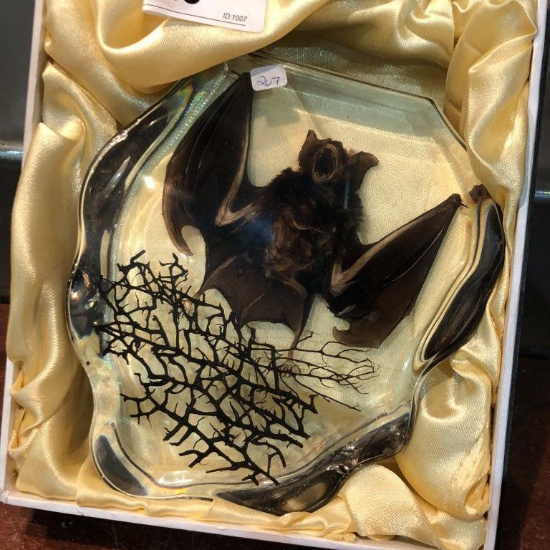 Bat Paperweight in Gift Box