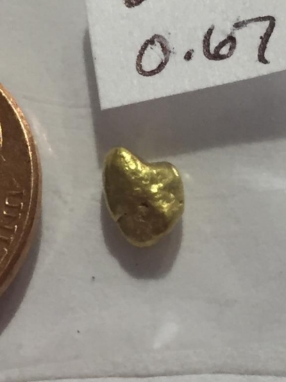 0.67 Grams Natural Gold Nuggets