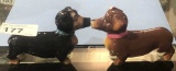 Kissing Winner Dogs S&P Shakers 4