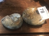 2 Fossil Polished Ammonites
