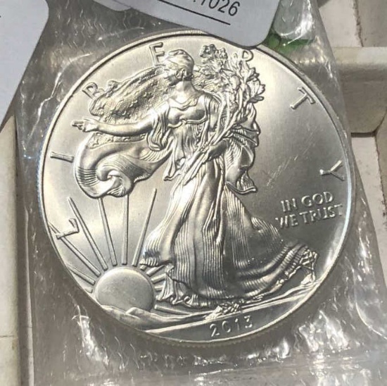 2013   .999 1 oz Silver Eagle $1 Dollar Coin