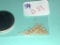 0.51 Grams Natural Nevada Gold Nuggets
