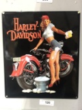Metal Sign - Harley Davidson Girl Washing Bike