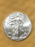 2013 .999 1 oz Silver Eagle $1 Dollar Coin