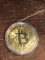 Gold Plated BIT Coin