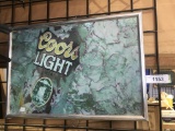 Coors Light Picture