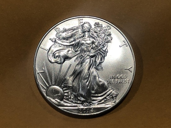 2014 Silver Eagle $1 Dollar Coin 1oz Silver