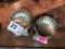 2 Sterling Shell Shaped Dishes