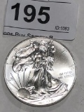 2014 Silver Eagle $1 Dollar Coin