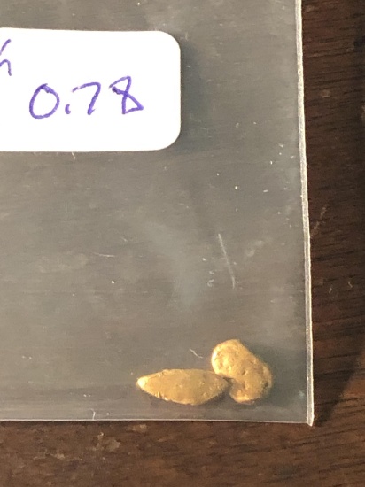 0.78 Grams Nevada Placer Gold Mini Nuggets