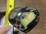 Heart Shaped Septarian Stone Also Called Dragon