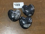 3 Heart Shaped Fossil Orthoceras