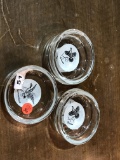5 Glass Coasters w/ Bird Pictures