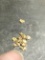 0.51 Grams Alaskan Gold Nuggets