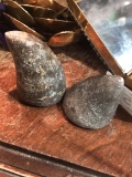 2 Fossil Coral Points