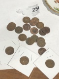 20  100yR Old Indian Head Cents,  1870 - 1909