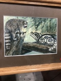 Raccoons Picture