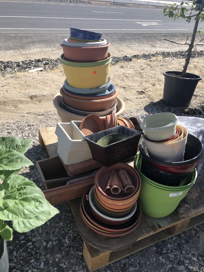 Large Assortment of Plant Pots & Trays