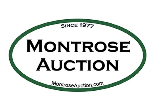 Firearms & Accessories Auction 10-17-17