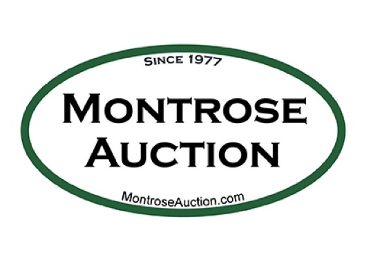Firearms & Accessories Auction 4-10-2018