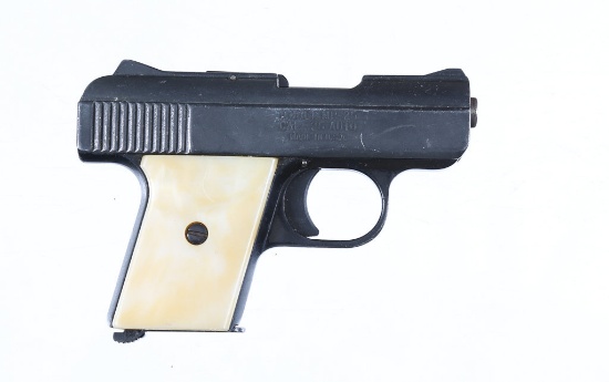 Raven Arms MP-25 Pistol .25 ACP