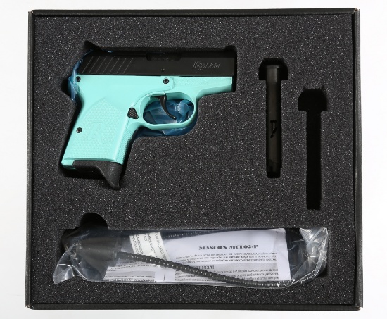Remington RM380 Pistol .380 ACP