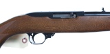 Ruger 10/22 Carbine Semi Rifle .22lr