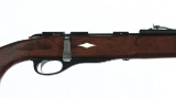 Remington Nylon 12 Bolt Rifle .22sllr