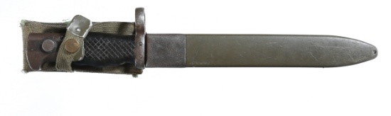 Spanish bayonet