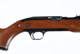 Sears & Roebuck 30 Semi Rifle .22 lr